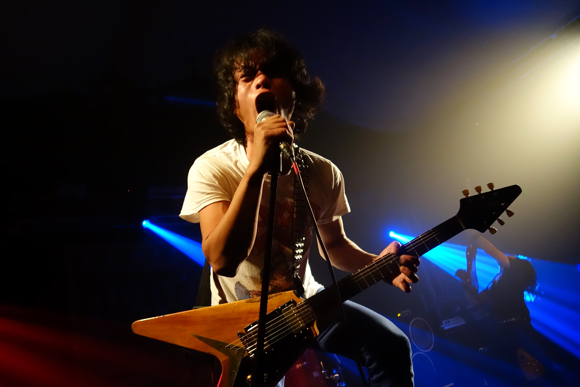 Electric Eel Shock