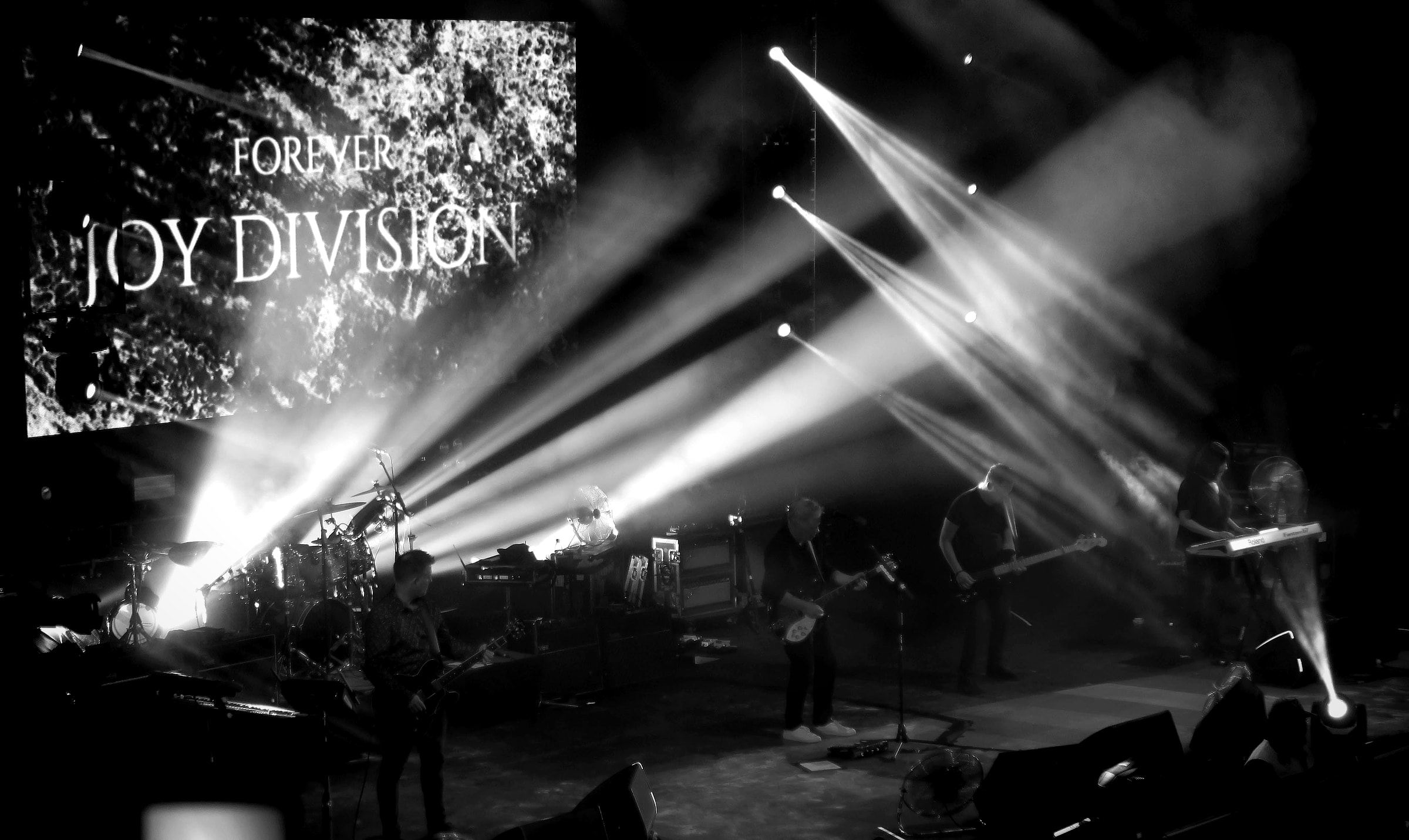 New Order, Chile 2019 (45830265395)